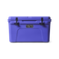 Tundra® 45 クーラーボックス