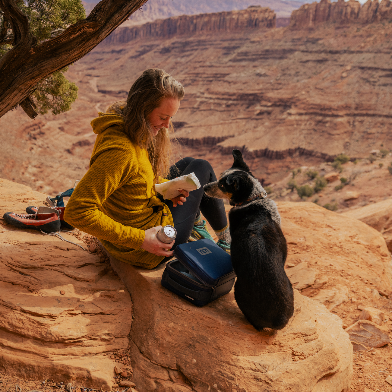 YETI Daytrip® 3 L Lunch Box