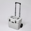 Roadie® 32 ホイール付き クーラーボックス YETI × YUSUKE HANAI ×  FUJI ROCK FESTIVAL '26