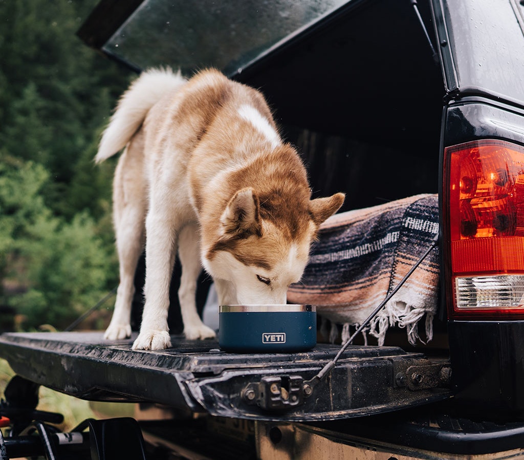 YETI Boomer™ 4ドッグボウル – YETIジャパン合同会社