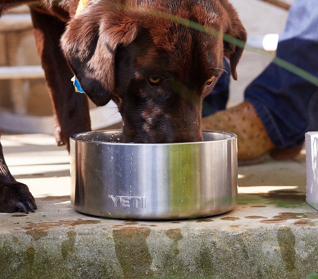 YETI Boomer™ 8 Dog Bowl