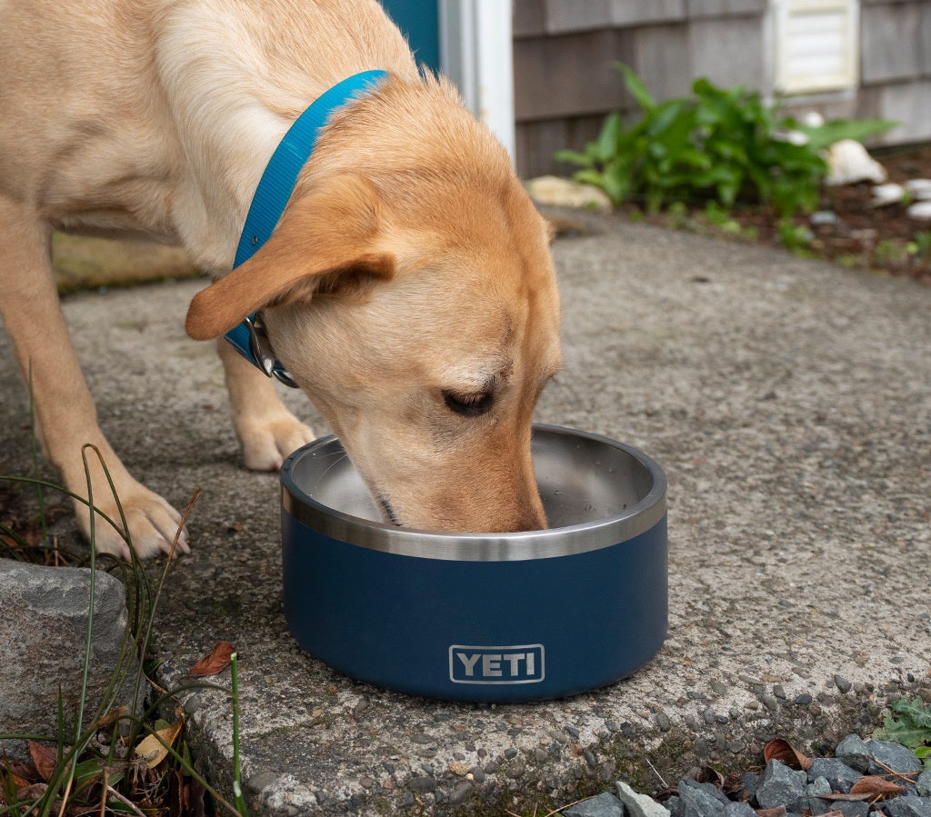 YETI Boomer™ 8 Dog Bowl
