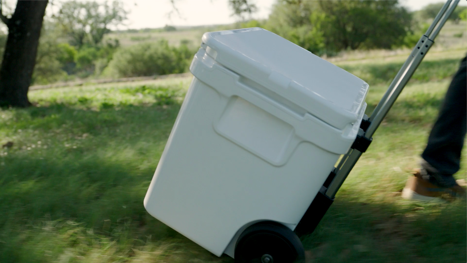 ビデオをロード：